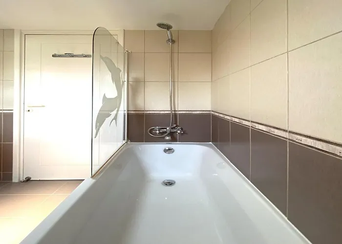 Anemone Seaview Dps01