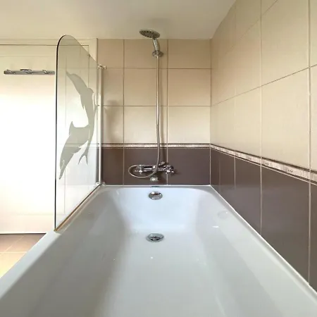 Anemone Seaview Dps01