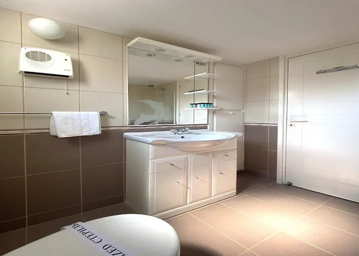 Anemone Seaview Dps01 プロタラス