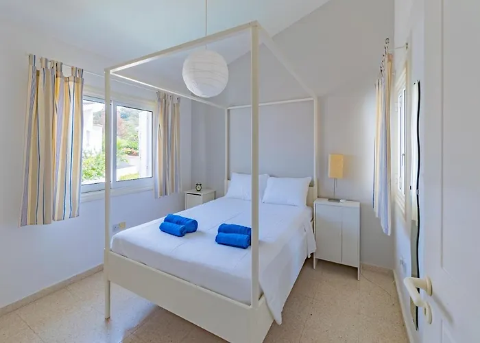 Anemone Seaview Dps01