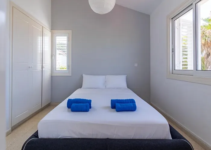 Anemone Seaview Dps01 Protaras